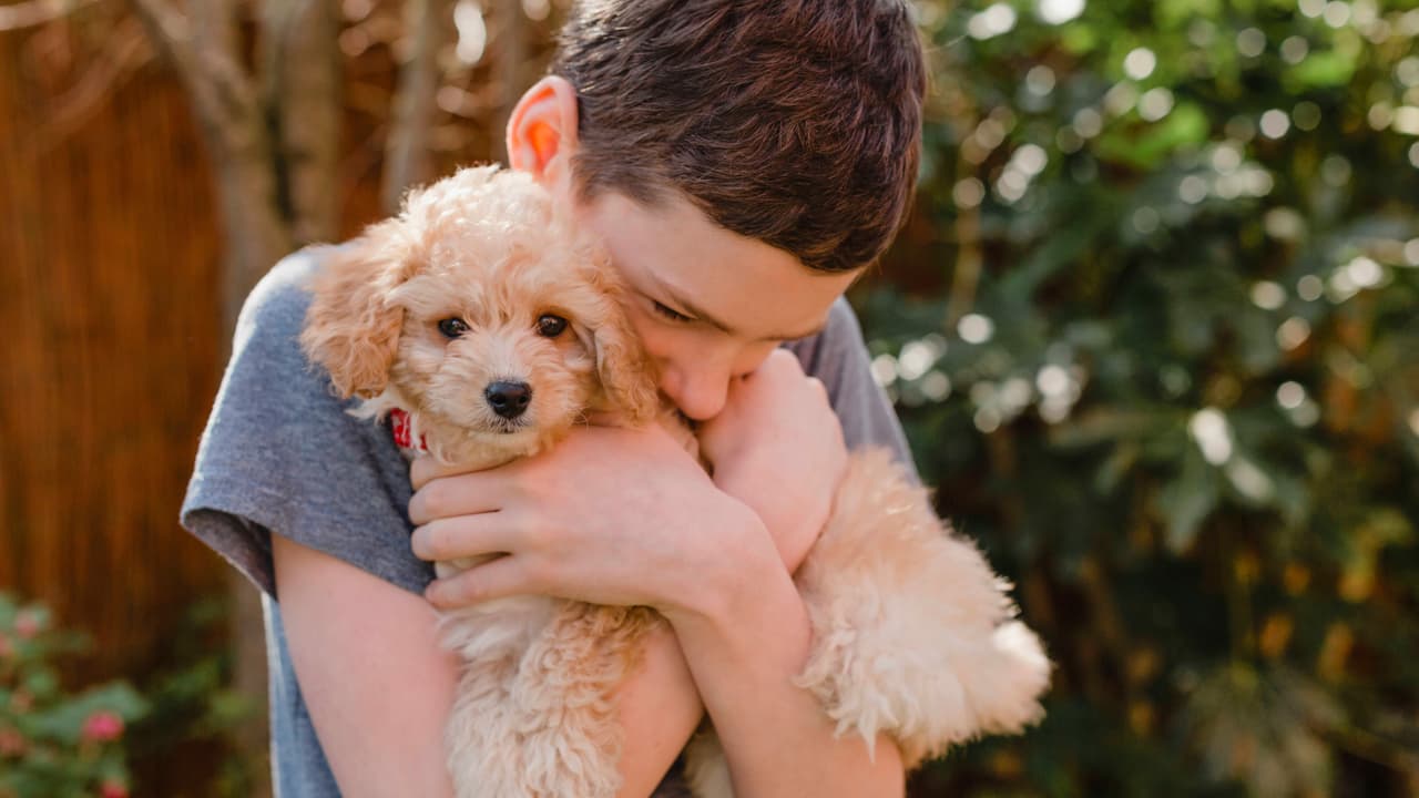 Beziehung Mensch und Hund Wie wir auf den Hund gekommen sind Kultur
