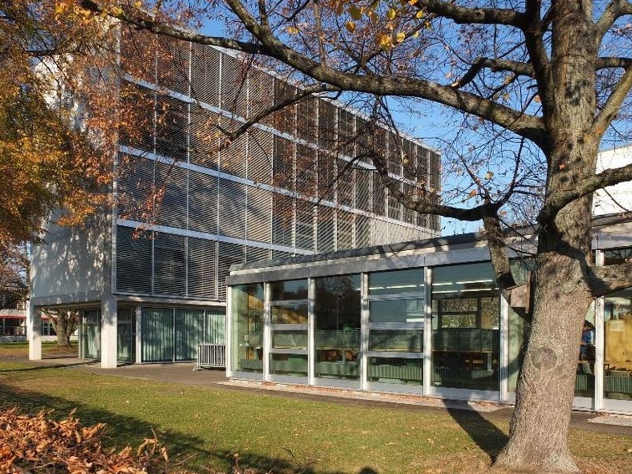 Gymnasien Frankfurt Ranking Gymnasien Frankfurt Ranking