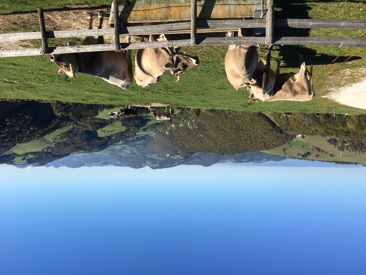 2827 Schelten Unterwegs in der nördlichsten Gemeinde des Kantons Bern