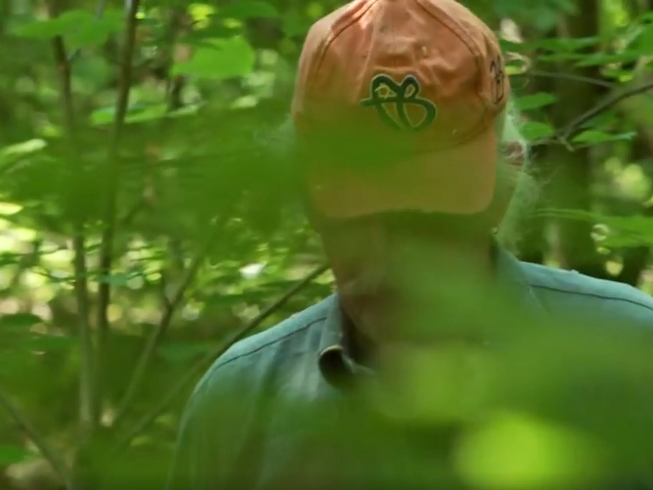 Wald kaufen, um ihn zu schützen Wald kaufen, um ihn zu schützen