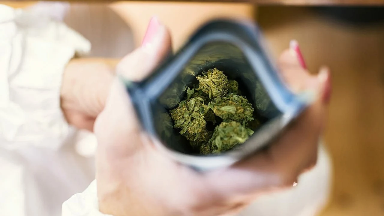 Швейцарии легализовали марихуану use another browser with tor hidra