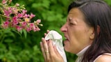 Schweiz testet neues System zur Pollenmessung (Artikel enthält Audio)