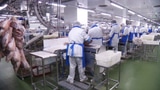 Arbeit macht krank: Fragwürdige Zustände im Migros-Fleischbetrieb (Artikel enthält Video)