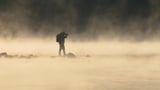 Video «Wozu ist eigentlich Nebel gut?» abspielen