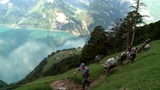 Video «Der Wildheuer – Senkrecht über dem Urnersee» abspielen
