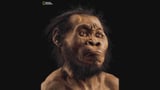 Video «Unsere Vorfahren - Was steckt vom Urmenschen heute noch in uns?» abspielen
