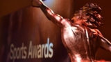 «Sports Awards»: Das sind die 12 Finalisten (Artikel enthält Bildergalerie)