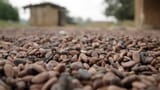 Video «Fairtrade in der Kritik. Saugroboter-Test.» abspielen