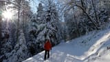 Dicke Schneedecke (Artikel enthält Video)