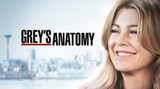 «Grey's Anatomy» – die 15. Staffel auf SRF zwei