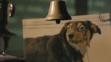 Video «Hund und Herrchen – Die Lust an der Dressur» abspielen