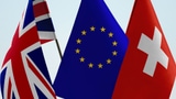 Video «Briten und Schweizer – die Stiefkinder der EU» abspielen