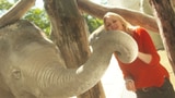 Video «Mit Eva Wannenmacher im Zürcher Zoo» abspielen