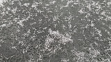Es schneit bei Hochdruckwetter (Artikel enthält Video)