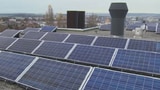 Video «Dumpingpreise Solarstrom. Einschreiben Prepaid. Lebkuchen-Degu.» abspielen