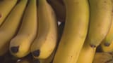 Pestizide auch im Fruchtfleisch der Bananen (Artikel enthält Video)