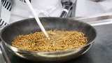 Insekten-Kochkurs: «Die Mehlwürmer kosten Überwindung» (Artikel enthält Bildergalerie)