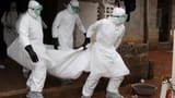 Video «Ebola – wer stoppt die Seuche?» abspielen
