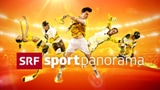 Video «Handball, Ski-Weltcup in Wengen, Handball und Tennis» abspielen