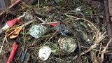 Kompostieranlagen kämpfen gegen den Plastik-Müll (Artikel enthält Bildergalerie)