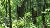 Video «Mit Bärenwaisen durchs Tigerland – Reno Sommerhalder in Sibirien» abspielen