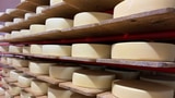 Käse dank Sonnenenergie auf der Alp Malun (Artikel enthält Audio)