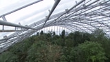 Masoala-Regenwald: Tropisches Klima in Zürich (Artikel enthält Video)