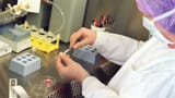 Gen-Tests bei In-vitro-Embryonen kommen erneut vors Volk (Artikel enthält Audio)
