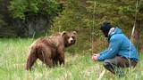Video «Der Bärenmann – Reno Sommerhalders Leben unter Bären» abspielen