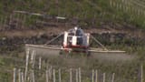 Video «Pestizide im Weinbau. Bevormundung von Mietern. Nagellack-Test.» abspielen