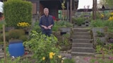 Video ««Kassensturz»-Spezial: Schweizer Gärten unter der Lupe» abspielen