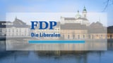 FDP: Der lange Weg zurück  (Artikel enthält Audio)