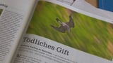 Video «Mit Tauben gegen Falken, die Schweiz bewegt, Morgarten-Fundstücke» abspielen