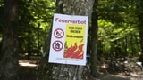 Schluss mit Grillieren in Zürcher Wäldern (Artikel enthält Audio)