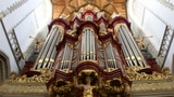 Diese Wunder-Orgel ist von Fledermäusen bedroht (Artikel enthält Audio)