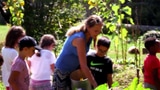 Video «Biodiversität im Schülergarten» abspielen