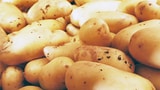 Die Schweiz verschwendet riesige Mengen Kartoffeln (Artikel enthält Audio)