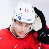 Grégory Hofmann