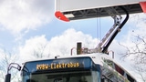 «Die Zukunft der öffentlichen Busbetriebe ist elektrisch» (Artikel enthält Audio)