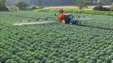 Video «Pestizide – unheimlich wirksam: Wie Natur verschwindet (1/3)» abspielen