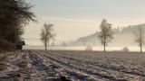 Die Top 3 (Artikel enthält Bildergalerie)