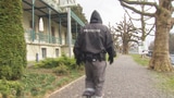 Protectas setzt bewaffnete Straftäter für Sicherheitsdienst ein (Artikel enthält Video)