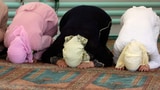 Video «Ein «Schweizer Islam» als Weg zur Integration?» abspielen
