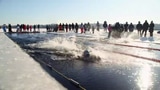 Hartgesottene messen sich in der Neva (Artikel enthält Video)