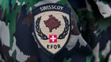 «Zartes Pflänzchen»: Parlament verlängert Swisscoy-Einsatz (Artikel enthält Video)