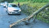 Baum fällt auf fahrendes Auto: Lenker muss blechen (Artikel enthält Video)