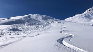 Neuschnee mit einer Skispur. Neuschnee mit einer Skispur.