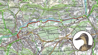 Kartenausschnitt Aarau-Wildegg