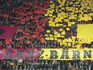 Fans im Stadion des SC Bern.