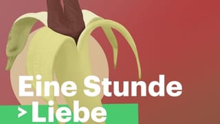 Eine Stunde Liebe